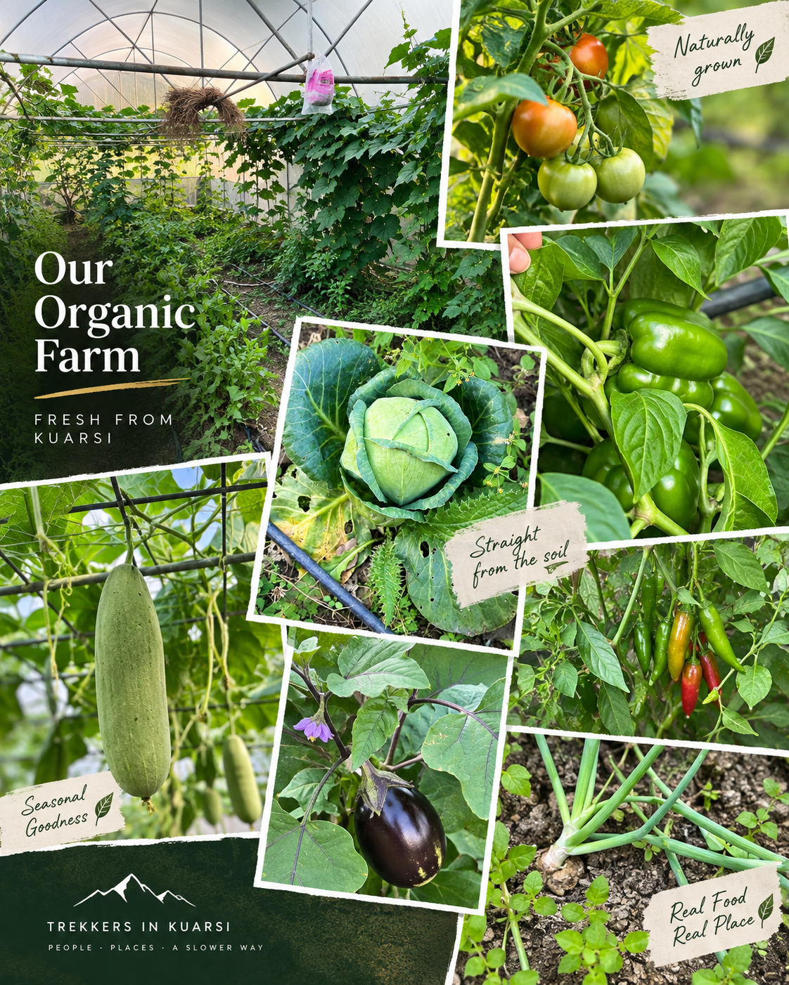 Organic farm at Trekkers in Kuarsi